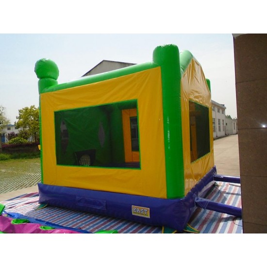 Ninja Turtle Bounce House