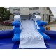 Dolphin Inflatable Water Park