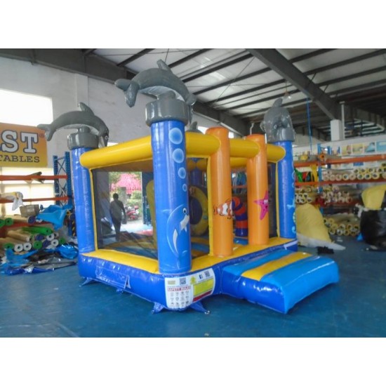 Pirate Jumping Castle