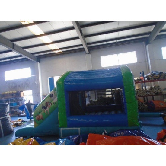 Farm Jumping Castle Slide